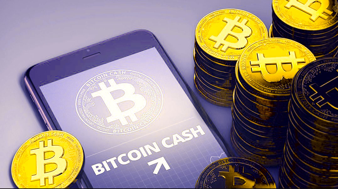 Перспективы Bitcoin Cash