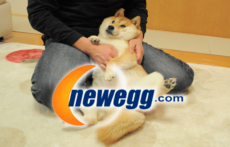 Dogecoin и Newegg