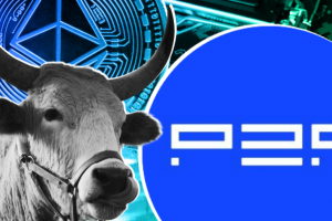 P2P org