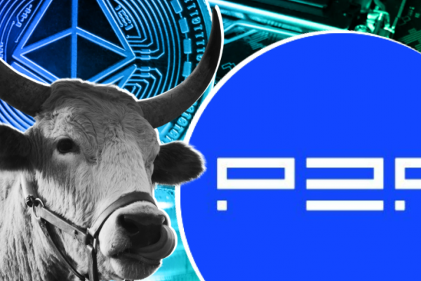 P2P org