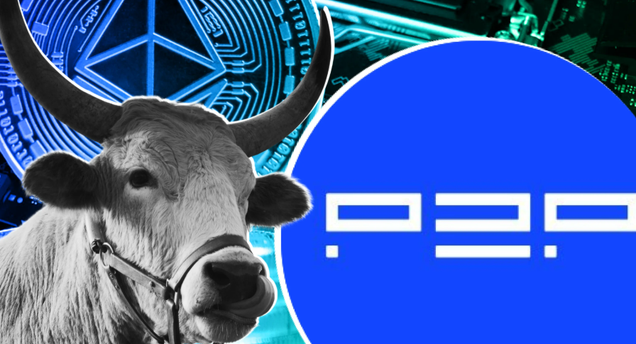 P2P org