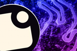 Fraction AI