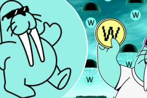 Walrus (WAL)