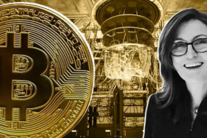 Компания ARK Invest