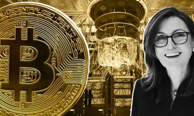 Компания ARK Invest