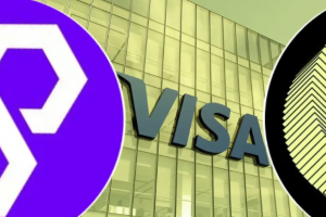 Тесты Visa