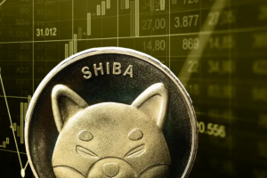 Прогнозы SHIB