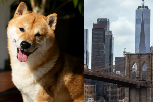 ETF Dogecoin