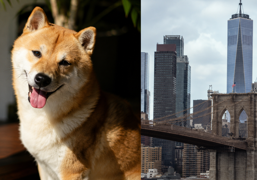 ETF Dogecoin